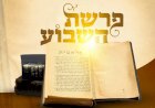 פרשת שופטים